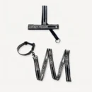 Harness Walking dog set inspired by Dior view 5
