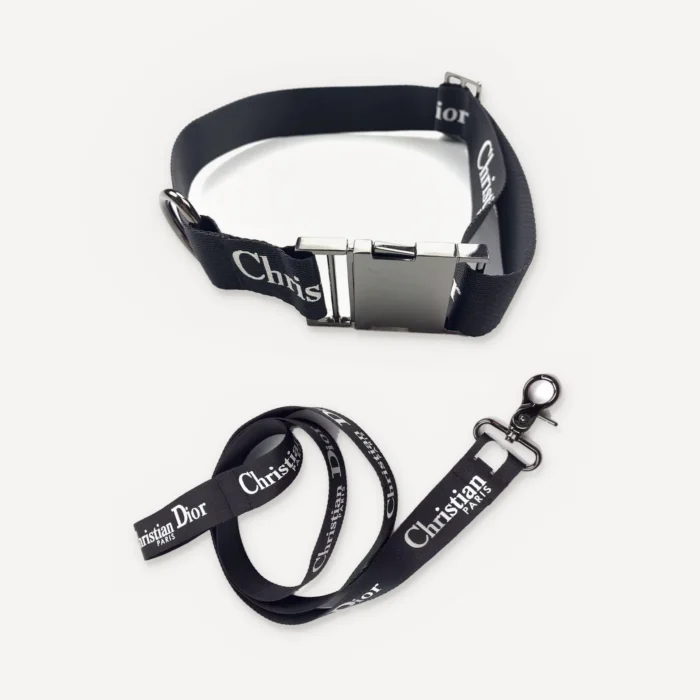 Logo Walking dog set inspired by Dior view 4