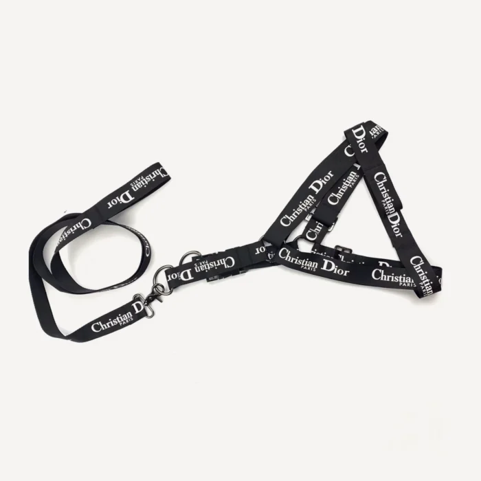 Logo Walking dog set inspired by Dior view 5