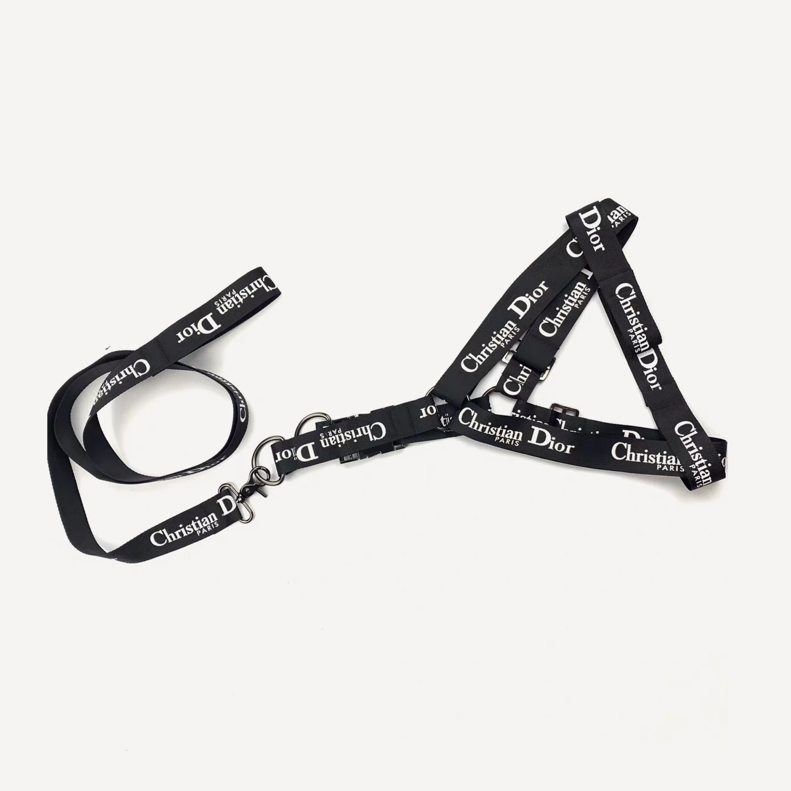 Logo Walking dog set inspired by Dior view 5