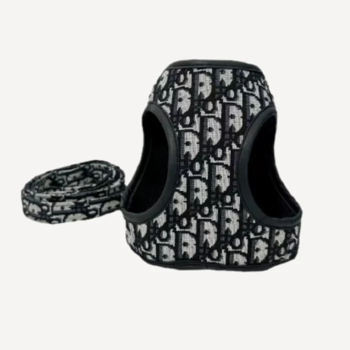 Walking dog vest inspired by Dior