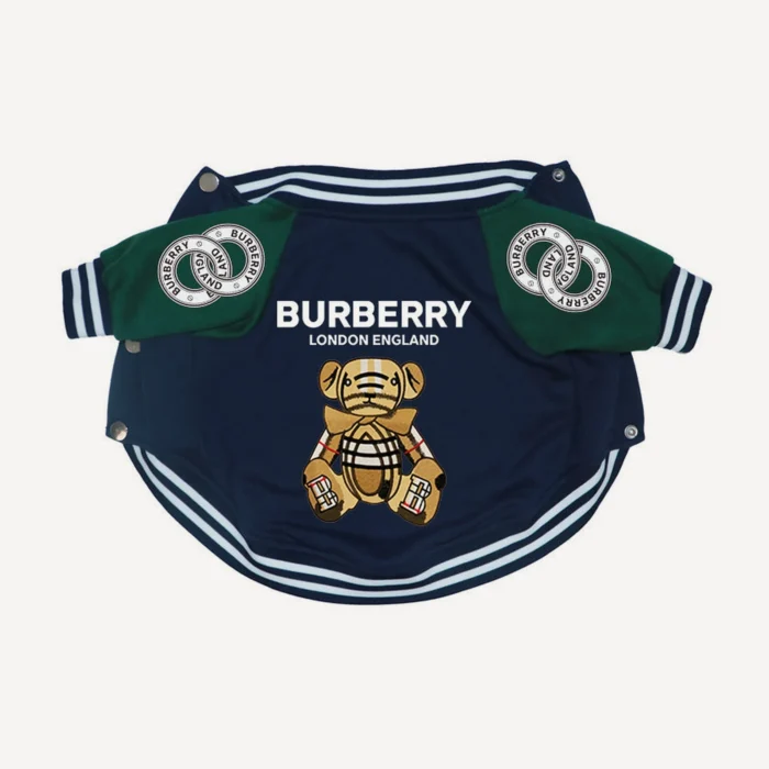 Teddy Bear Varsity dog jacket inspired by Burberry view 4