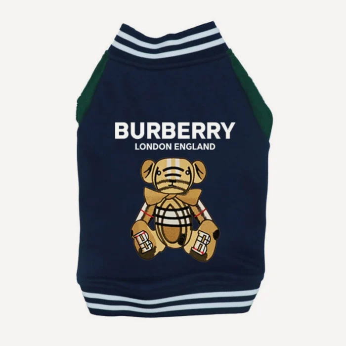 Teddy Bear Varsity dog jacket inspired by Burberry view 5