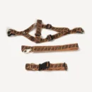 Brown FF monogram complete harness, collar and leash set