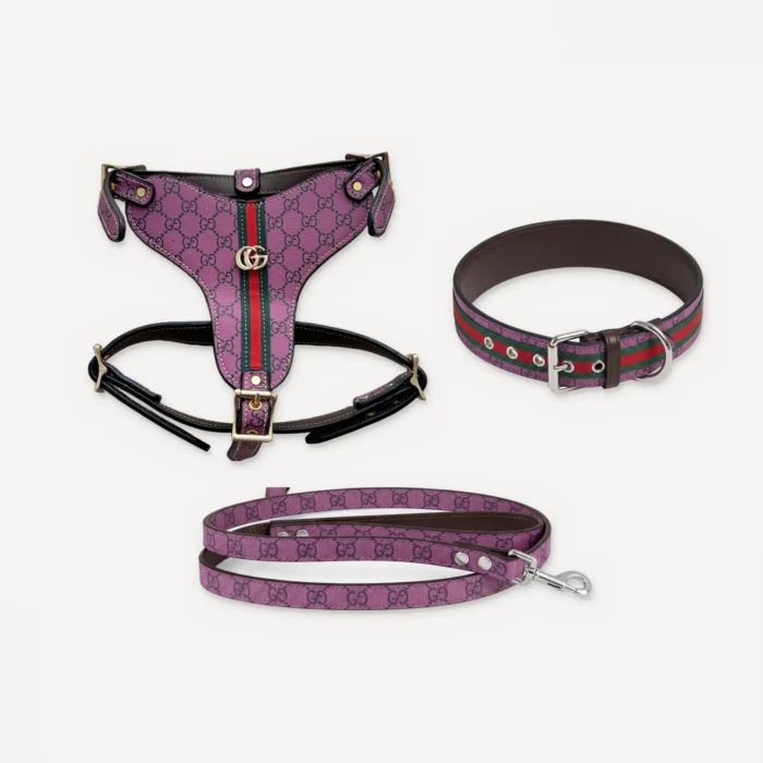 Purple Gucci inspired leather dog harness, collar and leash set, Pawcci Heritage Web Leather Walking Set