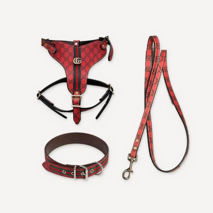 Red Gucci inspired leather dog harness, collar and leash set, Pawcci Heritage Web Leather Walking Set