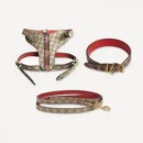Khaki Gucci inspired leather dog harness, collar and leash set, Pawcci Serpent Canvas Leather Walking Set