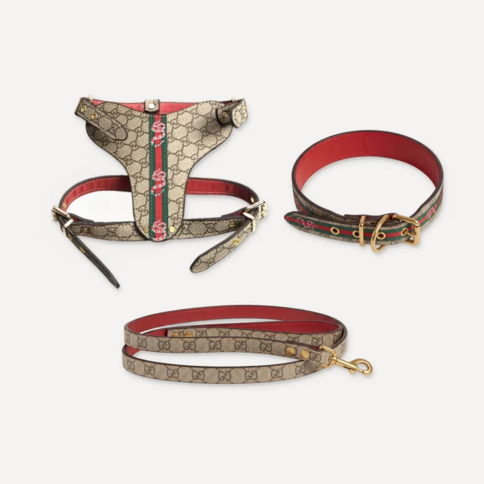 Khaki Gucci inspired leather dog harness, collar and leash set, Pawcci Serpent Canvas Leather Walking Set