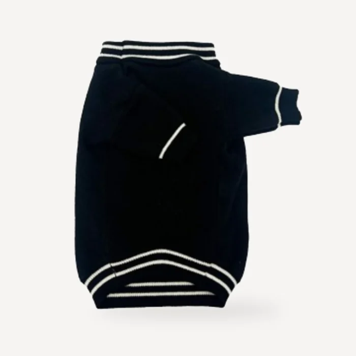 Knit dog sweater inspired by Versace view 4
