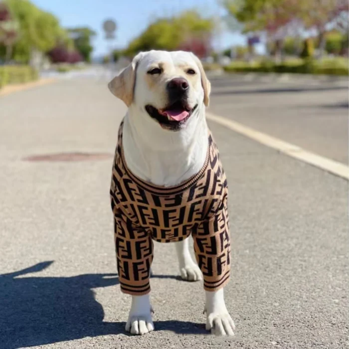 Furdi Chunky Monogram Sweater on a dog