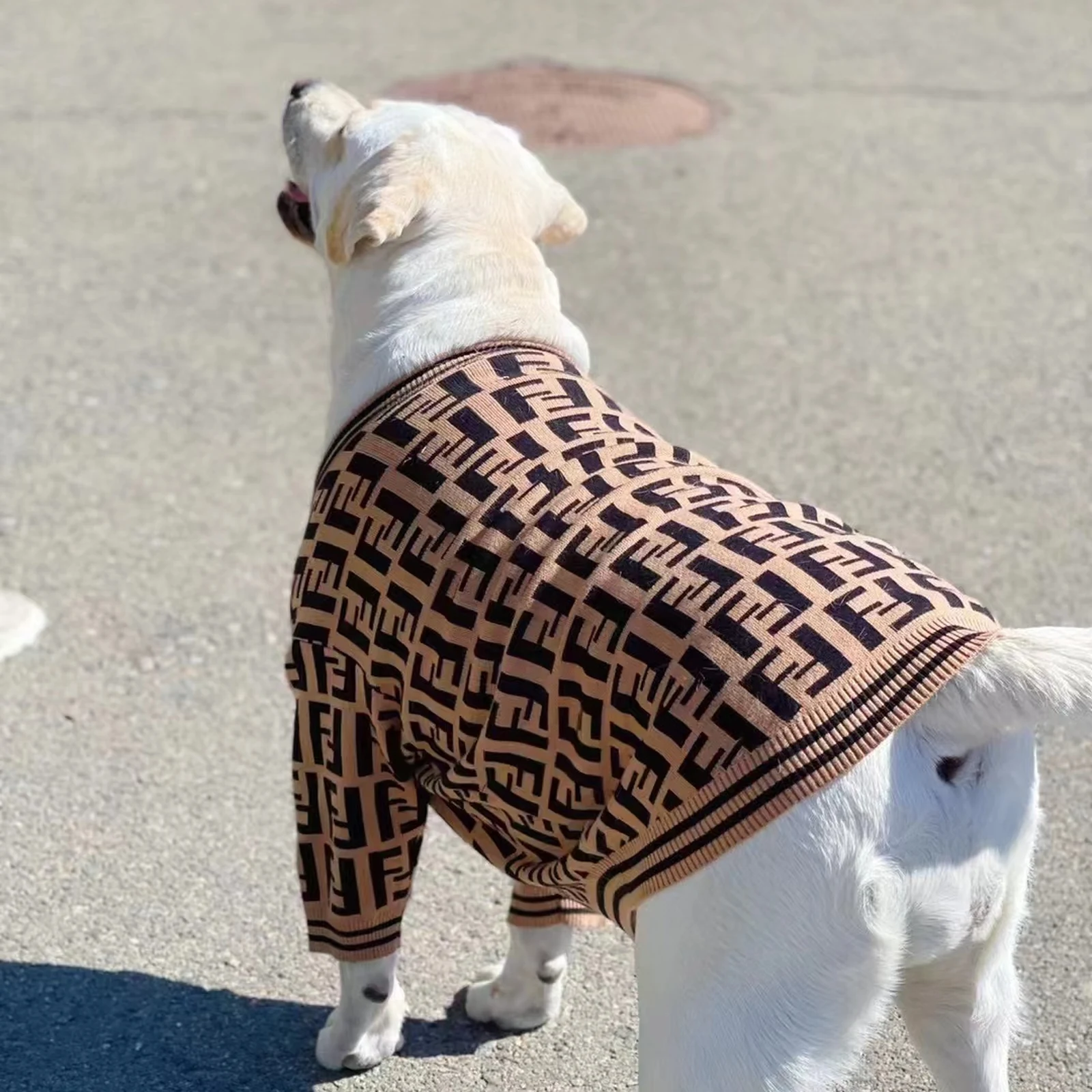 Furdi Chunky Monogram Sweater on a dog