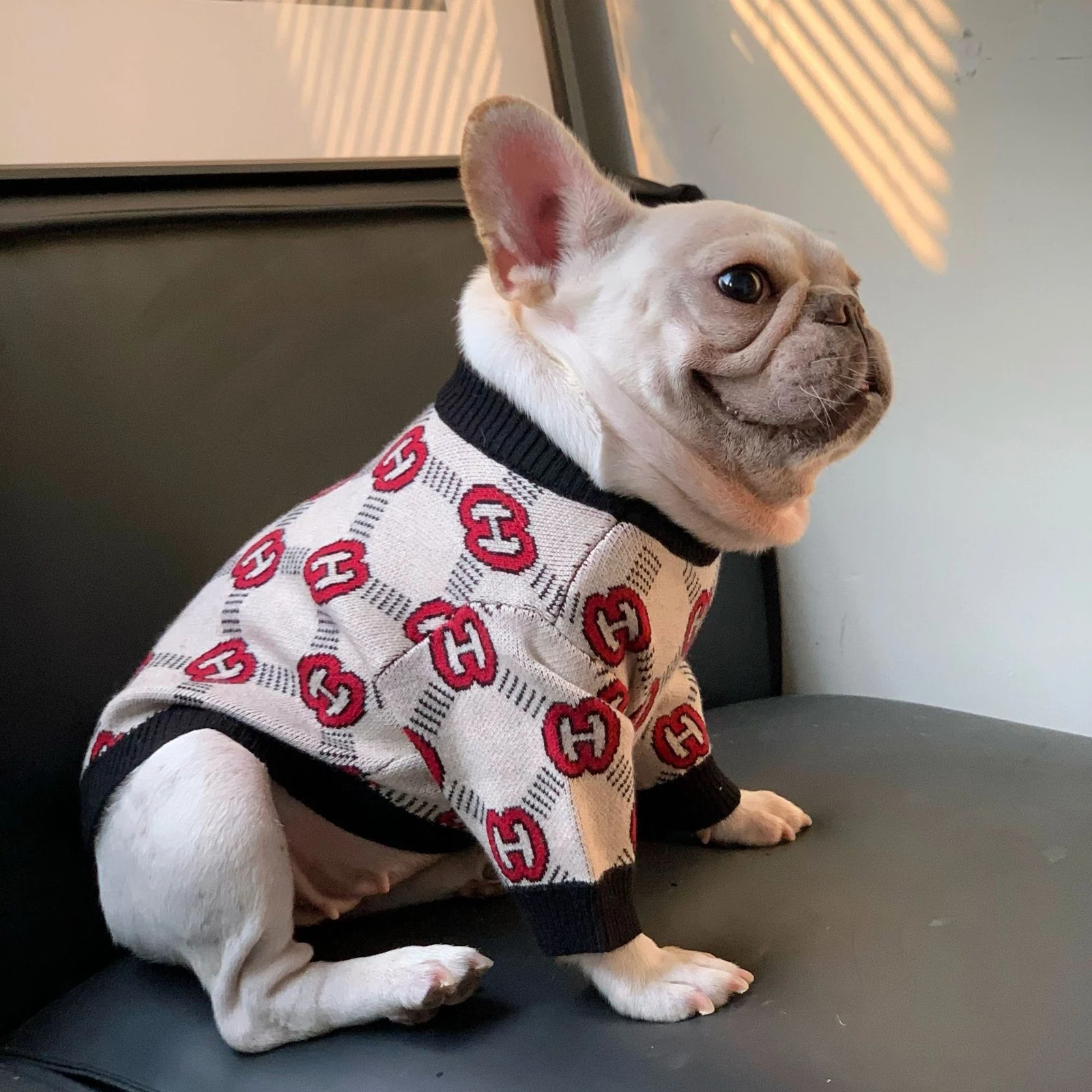 Pawcci Cream Monogram Sweater on a dog