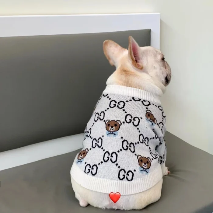 Pawcci Teddy Bear Sweater on a dog