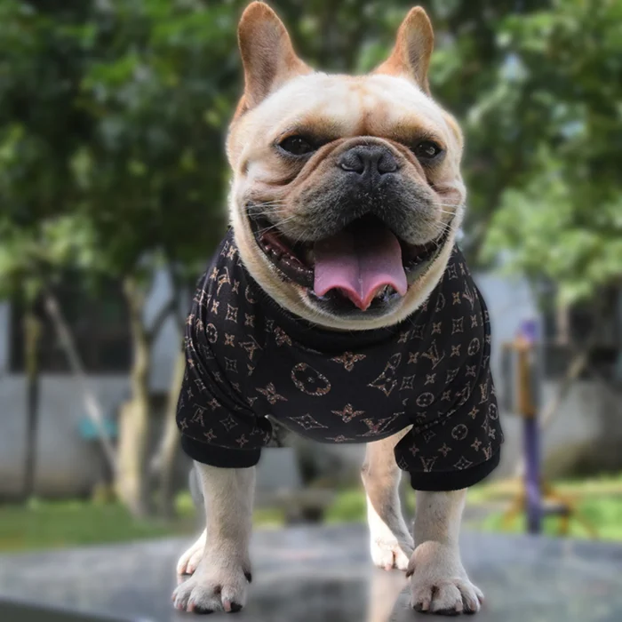Chewy V Monogram Sweatshirt on a dog