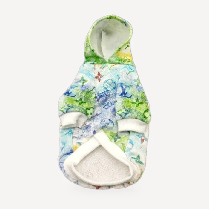 Chewy V Rainbow Monogram Hoodie product view