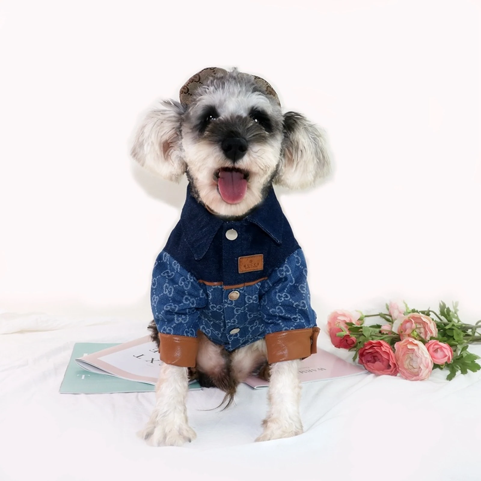Pawcci Denim Shirt Jacket on a dog