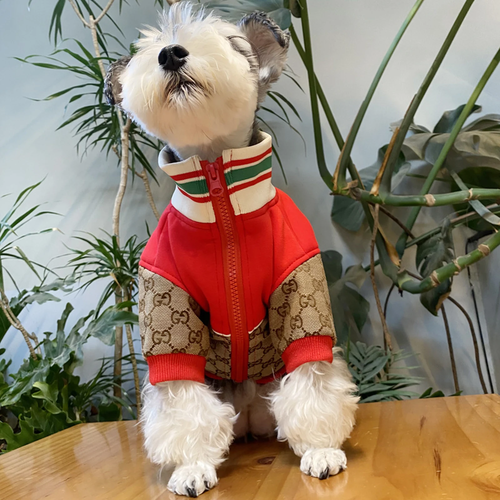 Pawcci Apple Patch Jacket on a dog side view