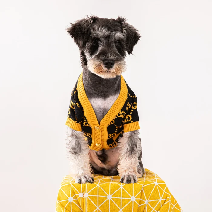 Pawcci Orange Monogram Cardigan on a dog