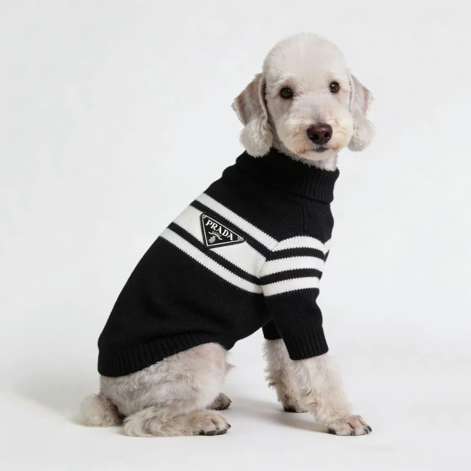 Pawda Triangle Stripe Sweater on a dog