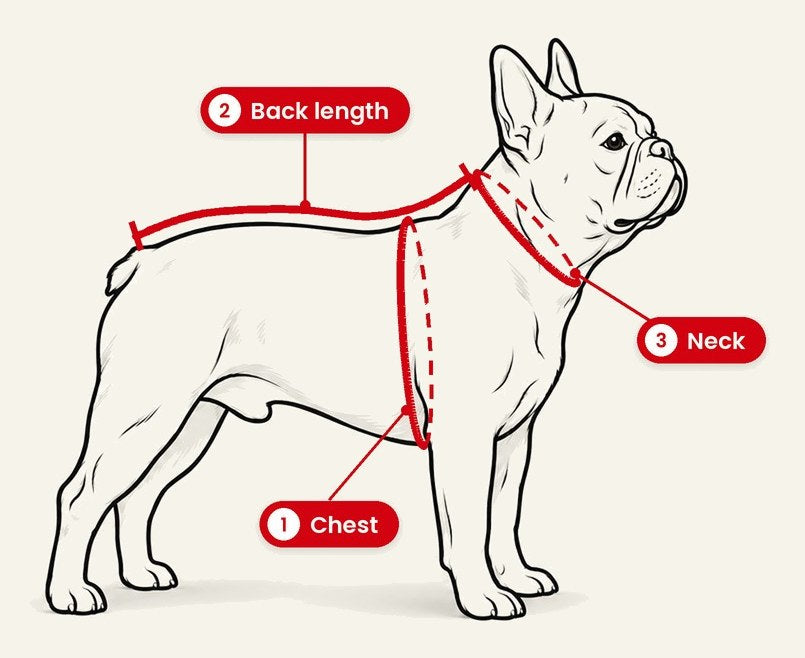How to measure chest, back length and neck