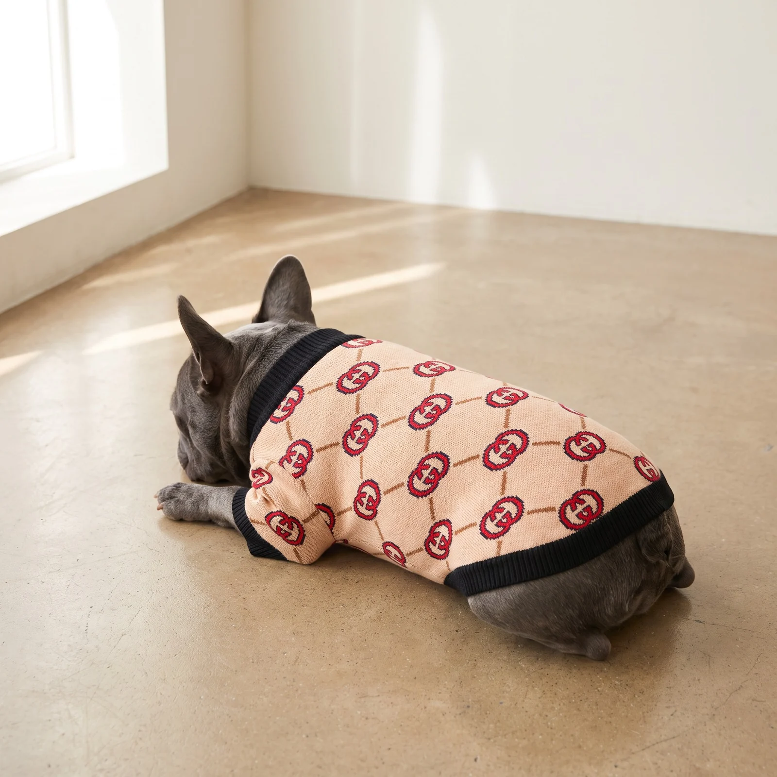 Pawcci Interlocking Sweater in Beige worn by a dog in studio